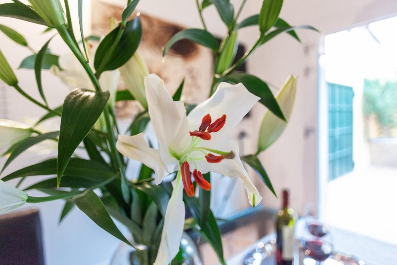 L'angolo Segreto Nel Pieno Centro Di Apartment Ferrara